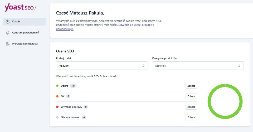 Ocena SEO po optymalizacji — 110 produktów na zielono