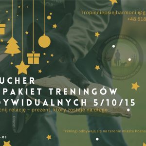 Voucher na pakiet treningów indywidualnych