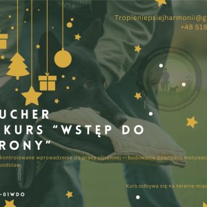 Voucher na Kurs "Wstęp do obrony"